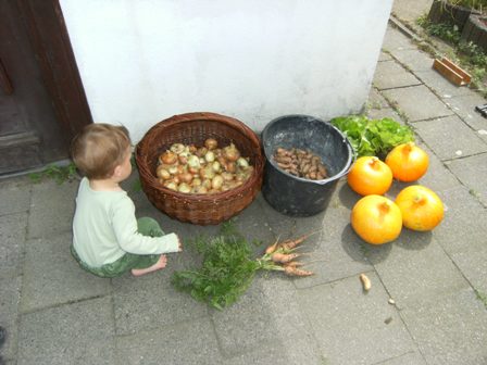 Ernte 2012.JPG