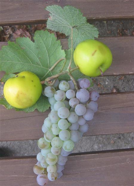 Trauben mit Apfel.jpg