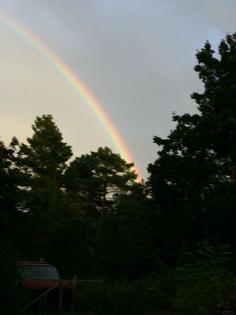 k-regenbogen.jpg