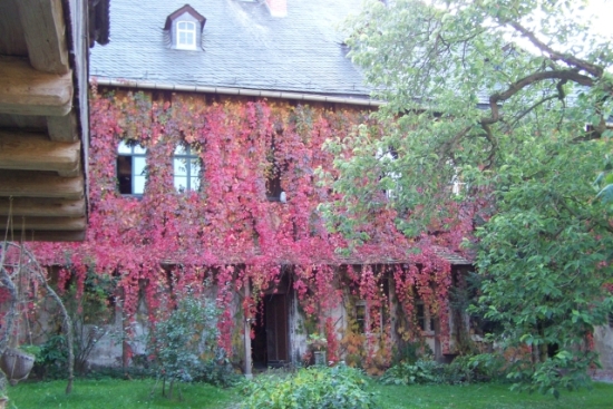 Herbst12.jpg