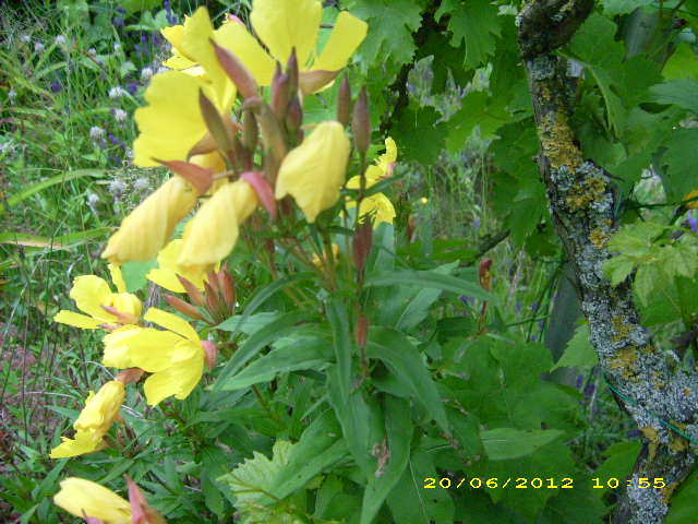 Bild 066.jpg