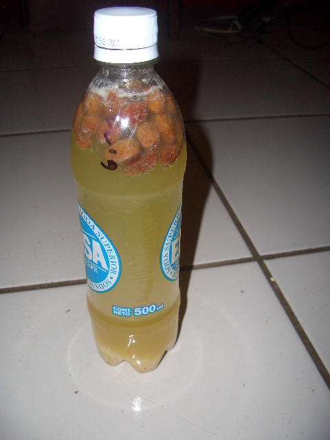 CIMG0529.JPG