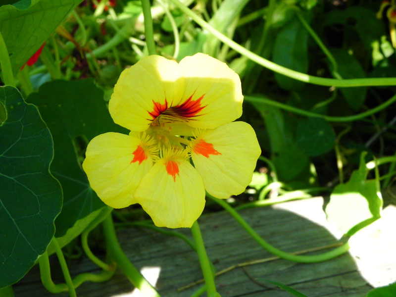 DSCN2200.JPG