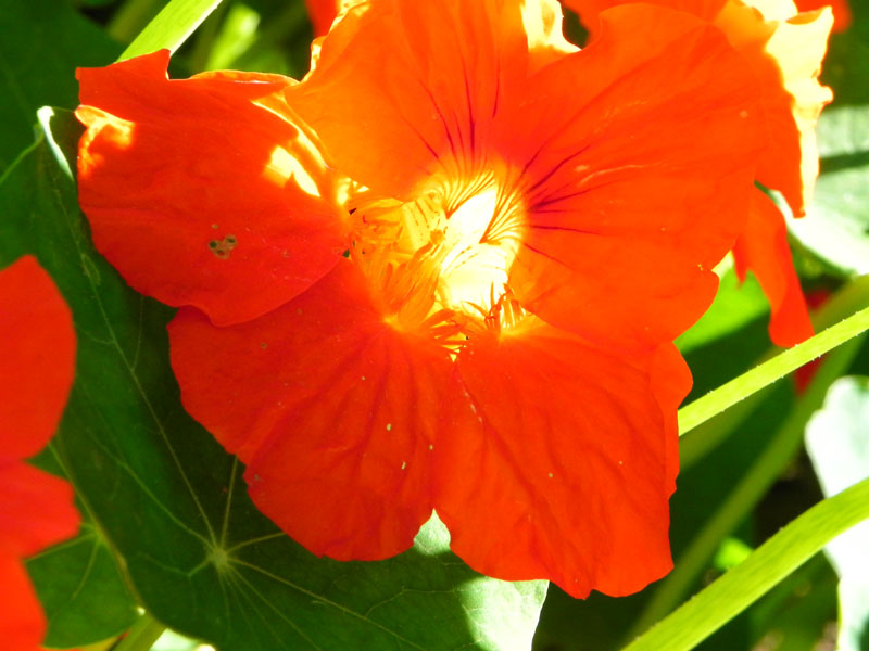 DSCN2209.JPG