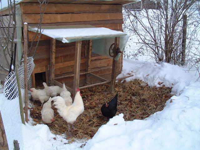 K640_DSCF0006.JPG