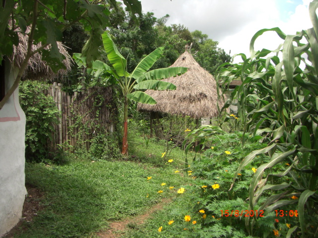 CIMG0039.JPG