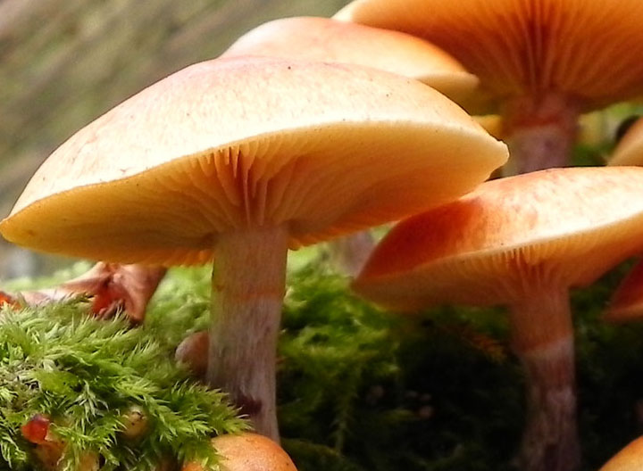 DSCN2318.JPG