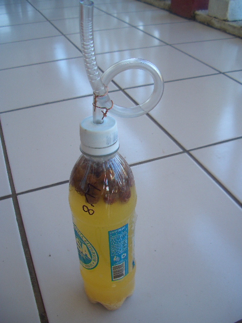 CIMG0535.JPG