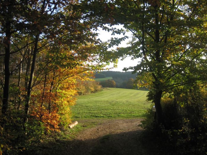 Eifelherbst 007.jpg