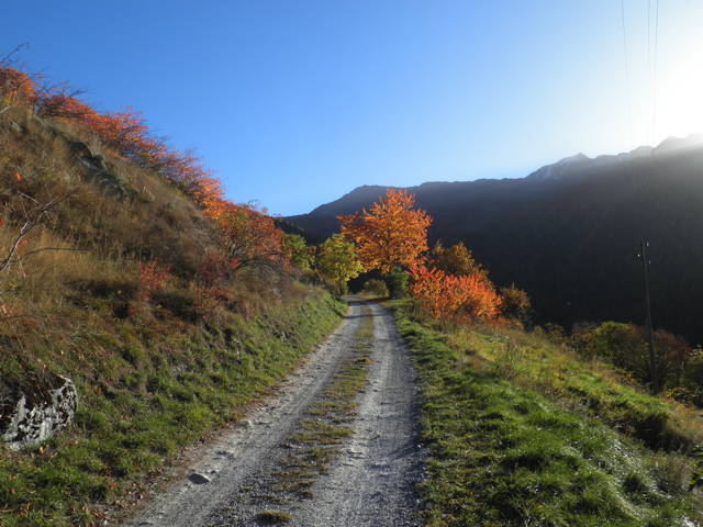 PA243004w.jpg