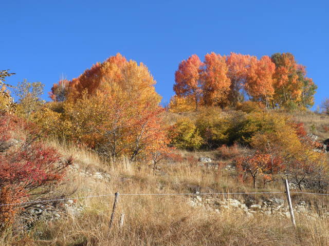 PA243006w.jpg
