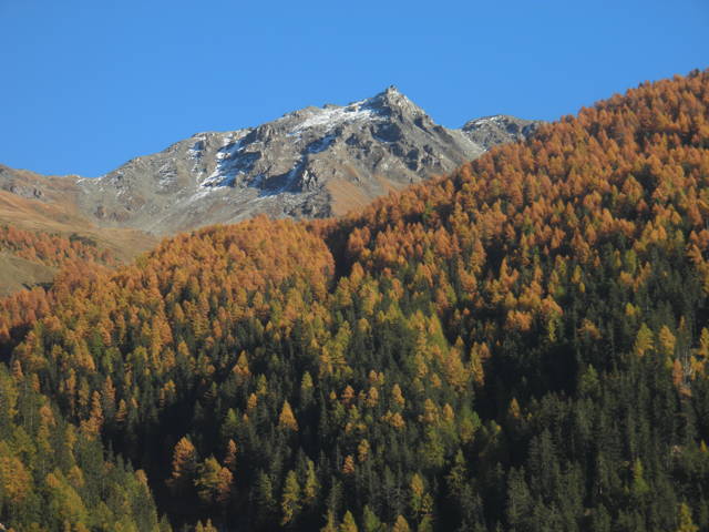 PA243008w.jpg