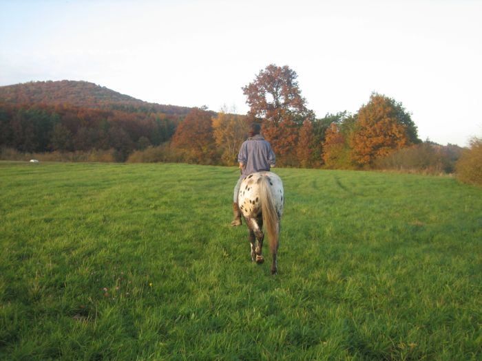 Eifelherbst 013.jpg