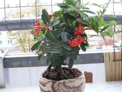 herbstbilder 003a.jpg