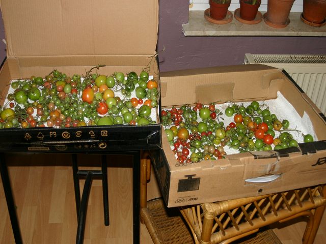 k-IMG_6002.JPG