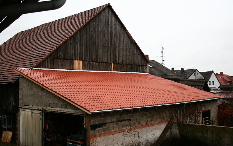 2012-11-29_1.jpg