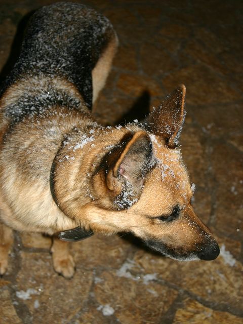 k-IMG_6109.JPG