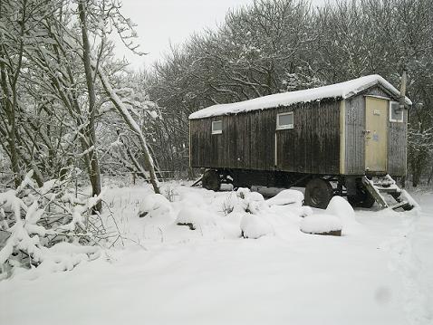 winter03.JPG