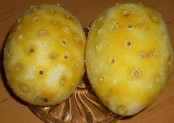 abgeriebene Zironen mit Löchern von Nelken