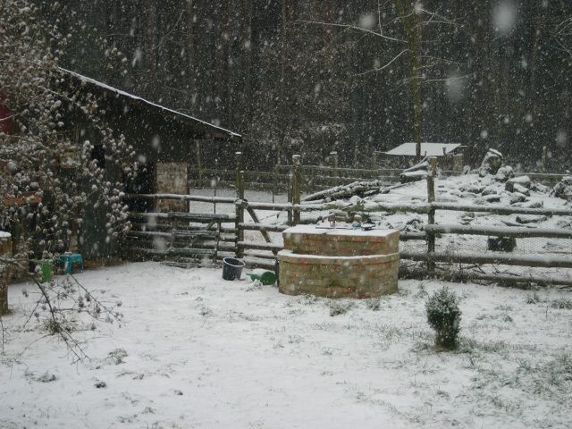 k-IMG_6177.JPG