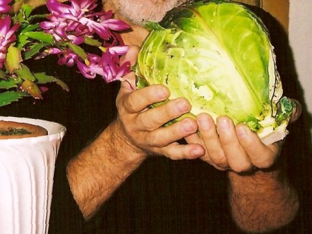Riesen-Rosenkohl-1.jpg
