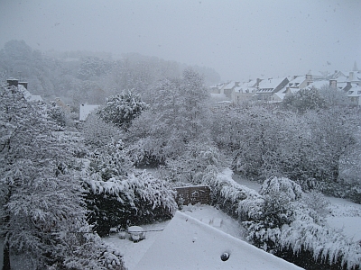Blick aus meinen Arbeitszimmer.