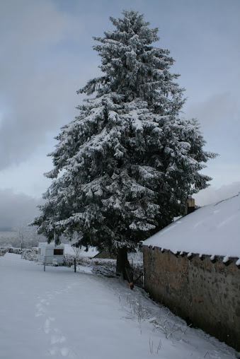 Afbeelding 016.jpg