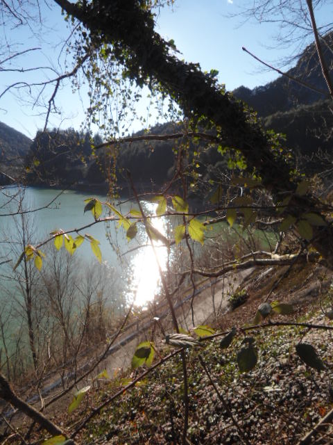 Blick nach Süden