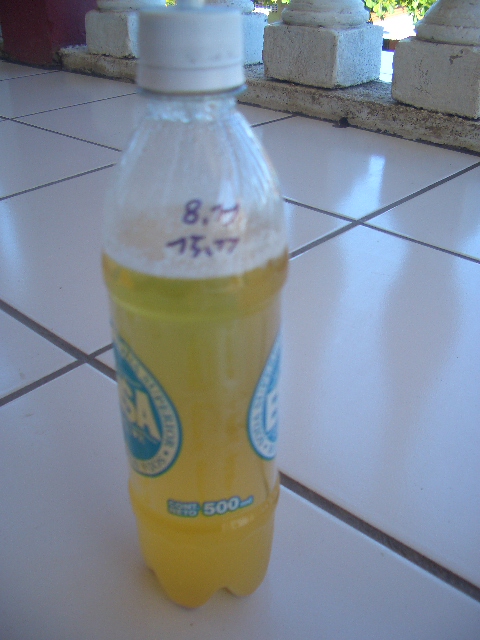 CIMG0630.JPG