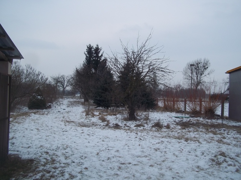 selbst im winter sieht der garten schön aus - nur die nadelbäume sind etwas zu raumeinnehmend...