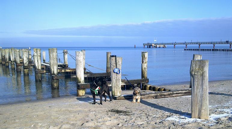 zingst.JPG