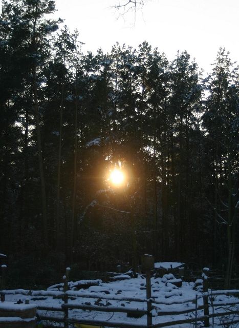 k-sonne.JPG