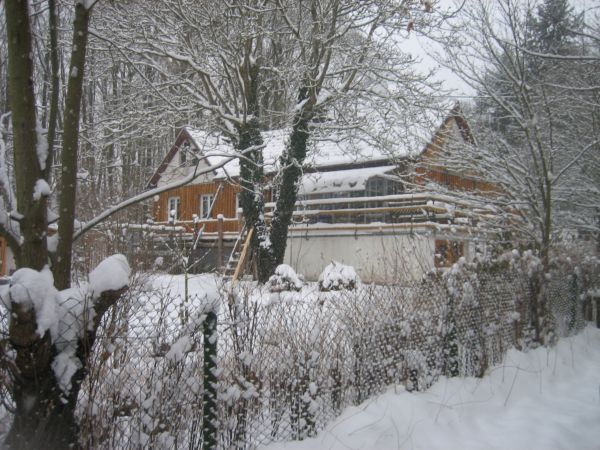 Winter2013 001.jpg
