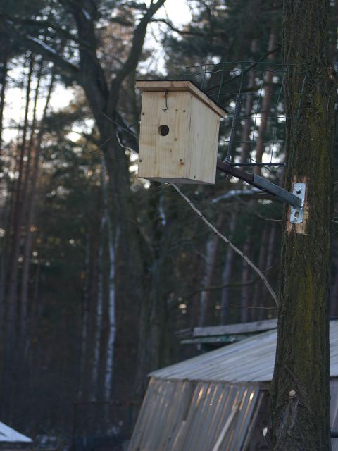 k-vogelhaus.JPG