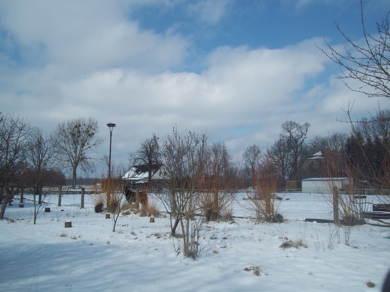garten im schnee