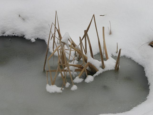 k-teich.JPG