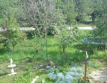 Frühling 2009