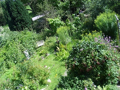 Sommer 2012