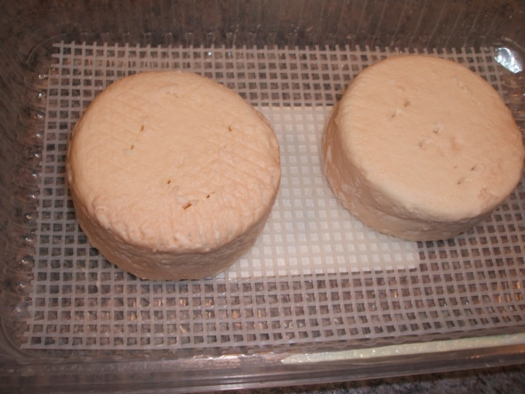 goronzola.jpg