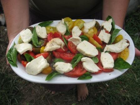 tomate mozarella.JPG