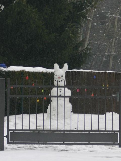 k-schneehase.JPG