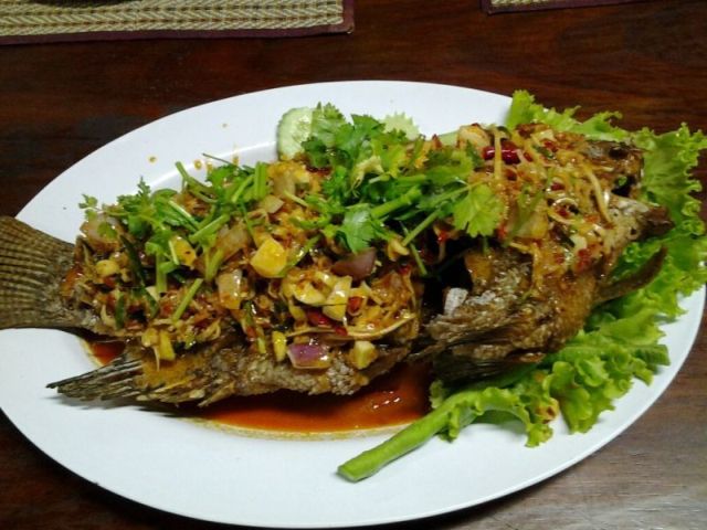 Corianderfisch