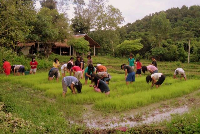 girlscamp1.jpg