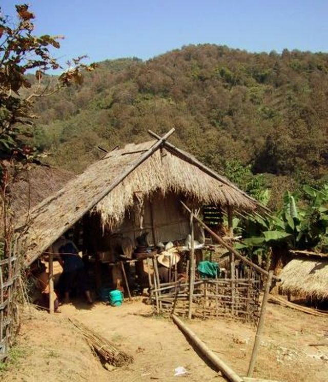 BambooAkha.jpg