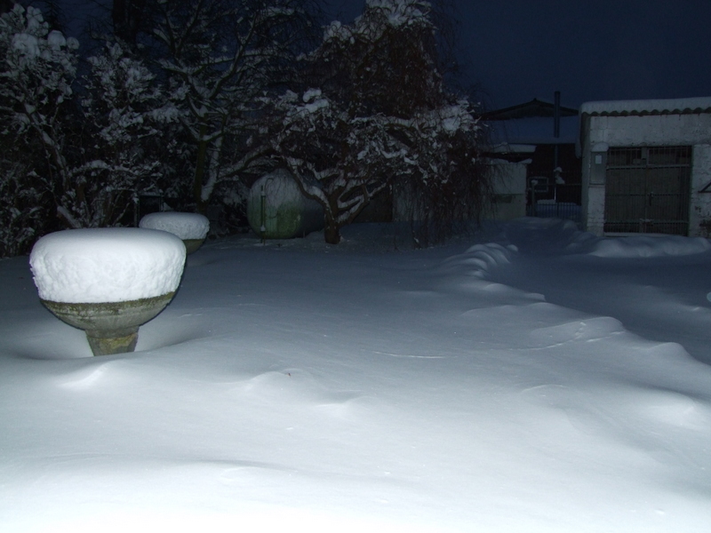 Winter.JPG