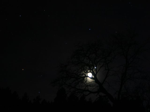 k-IMG_7251.JPG