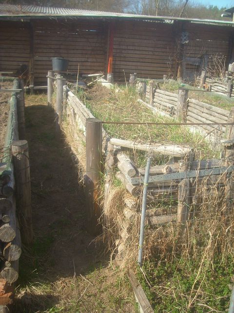 k-DSCI1821.JPG