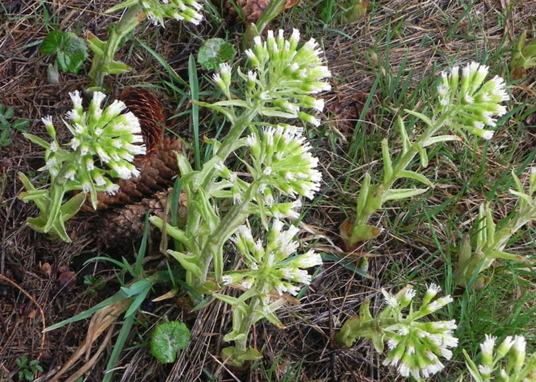DSCN2660.JPG