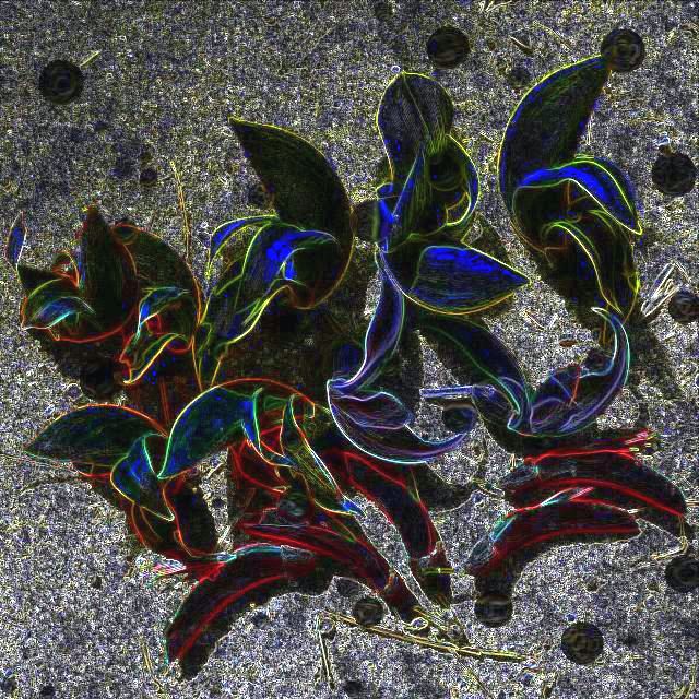 4farbenblume1.jpg