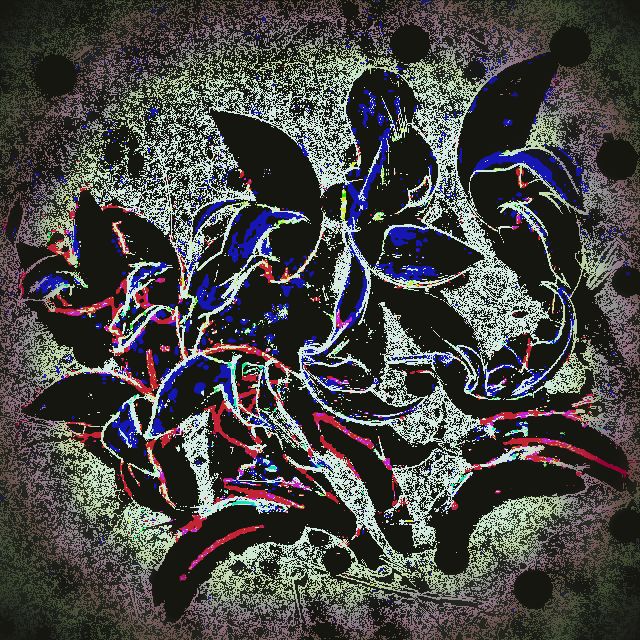 4farbenblume2.jpg
